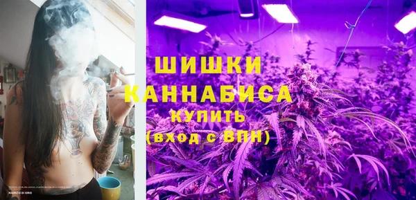 крисы Инсар