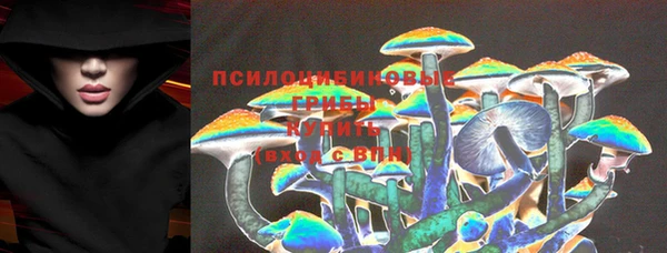 спайс Абинск