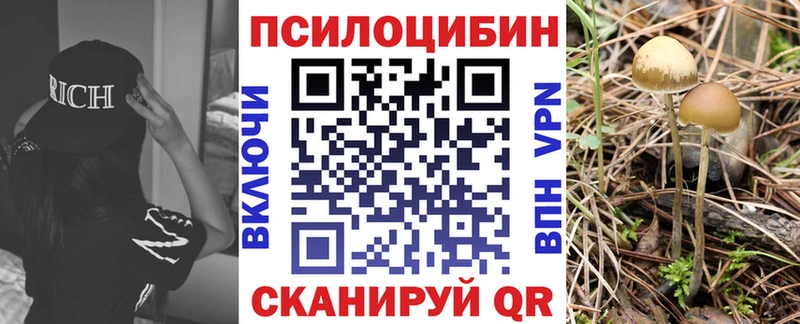 закладки blacksprut Псилоцибиновые грибы MAGIC MUSHROOMS Заринск