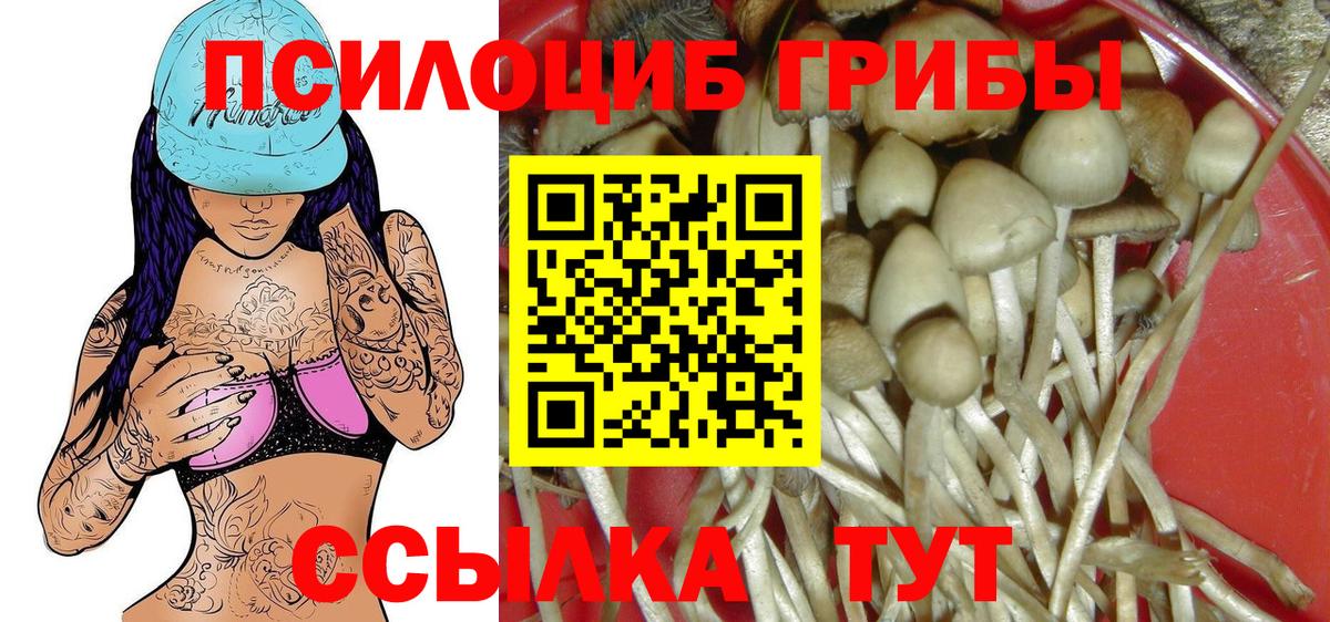 Псилоцибиновые грибы Cubensis  Вход с VPN  Заринск 
